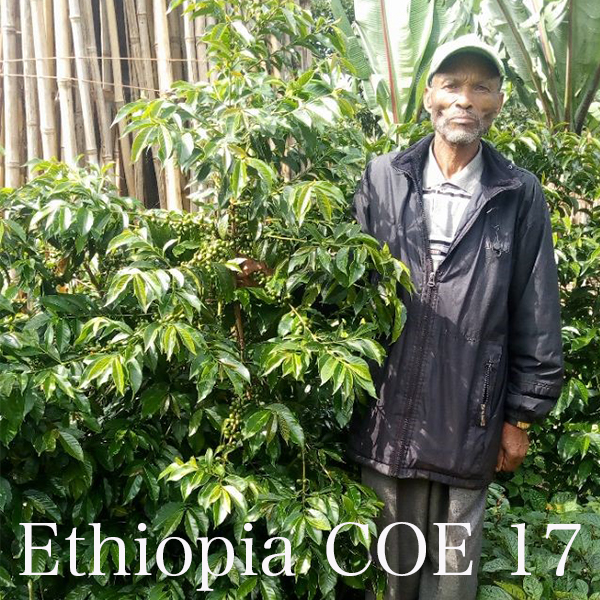 Ethiopia COE 17 – Bekele Ado Tero エチオピア – ベケレアドテロ