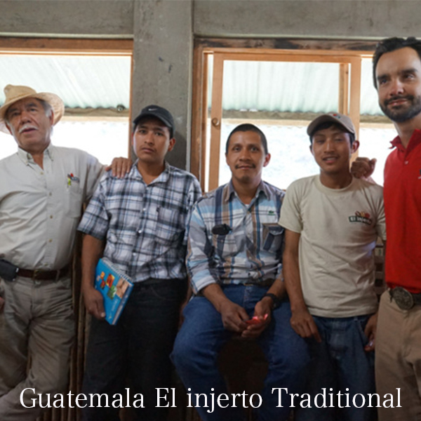 Guatemala El Injerto / グアテマラ エルインフェルト