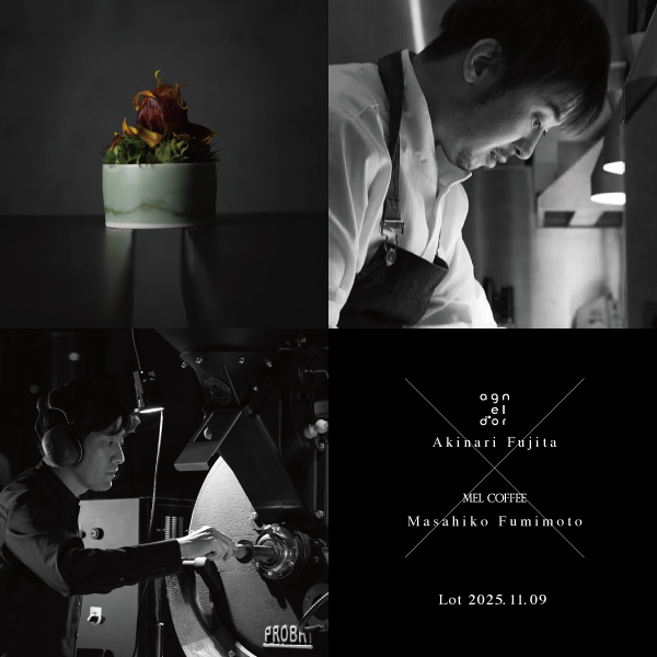 【ご予約受付中】agnel d’or ▶︎ Lot2025.11.09