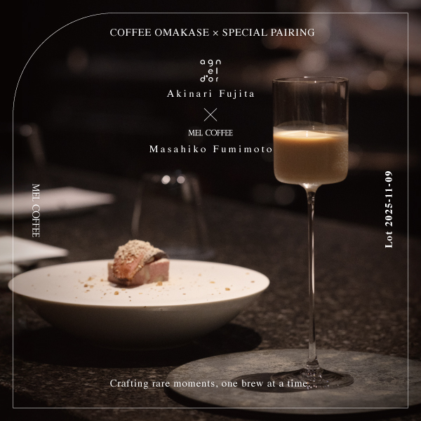 【Play Back ▶︎ Lot 2025.11.09】