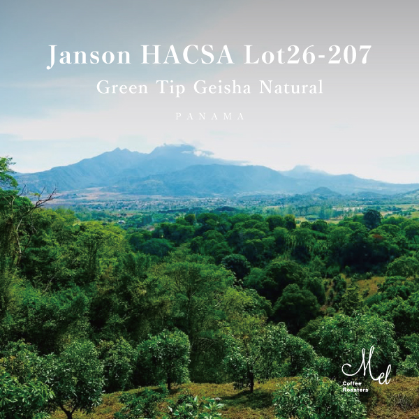 あの”Janson農園”のお豆が登場です！