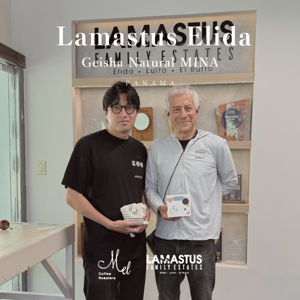 BOP常連！「Lamastus農園」よりLot MINAのNatural Processがラインナップ！