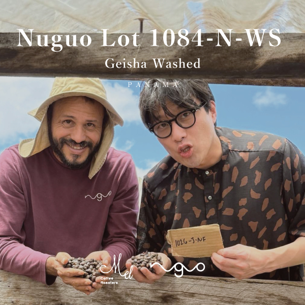 【あのNuguoからもう一種の特別なロットが入荷！】